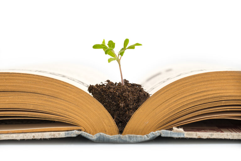 raamatu vahel on muld, kus kasvab väike taim